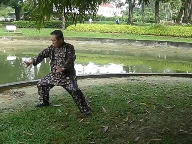 Shaolin 72 Chin-Na Techniques 2015